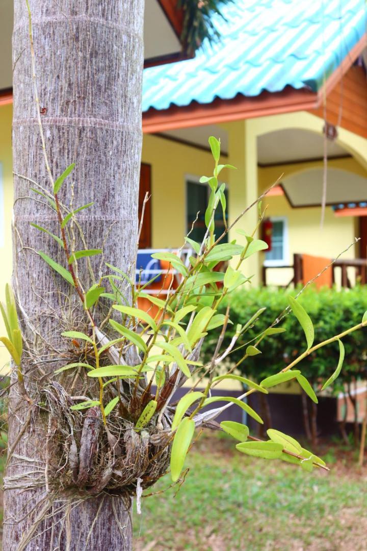 Baanrimklong Bungalow Koh Chang Exterior foto