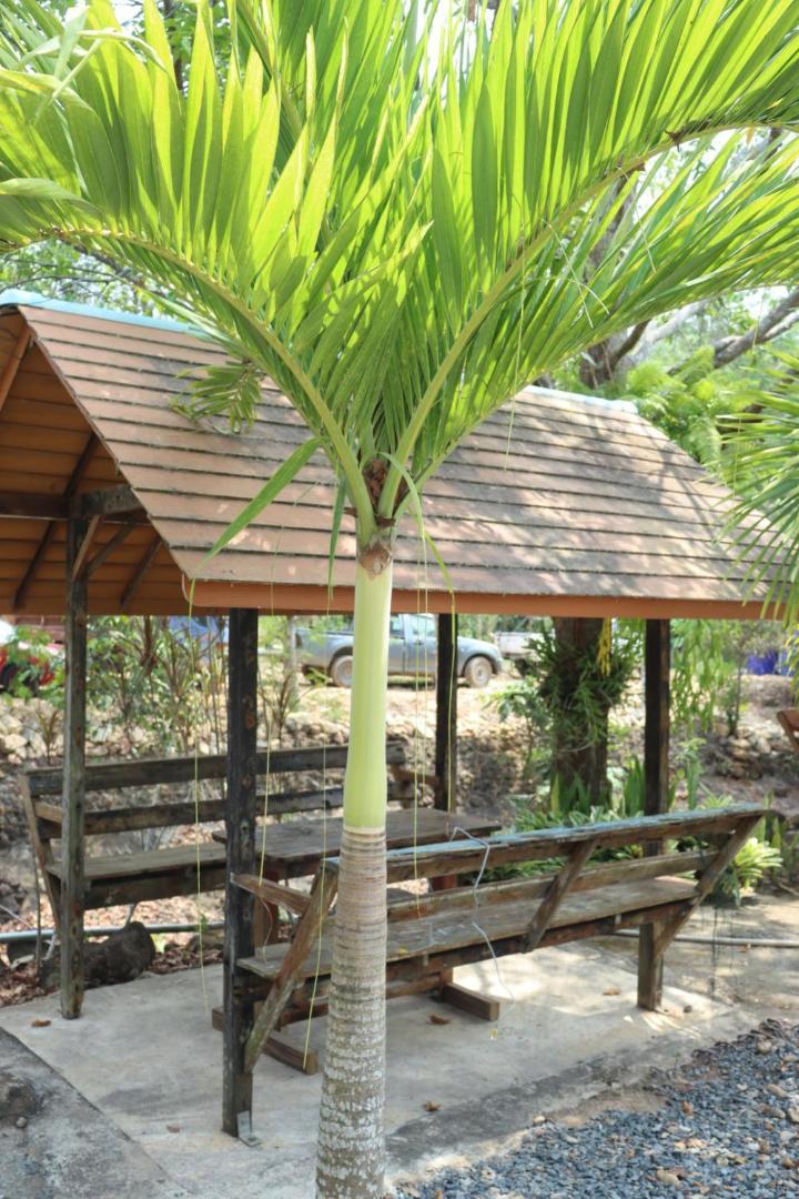 Baanrimklong Bungalow Koh Chang Cameră foto